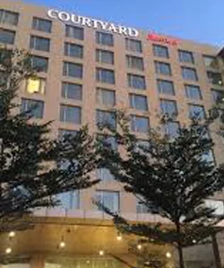 Night Club Girls Escorts In Bangalore