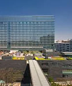 Bangalore Escort Services